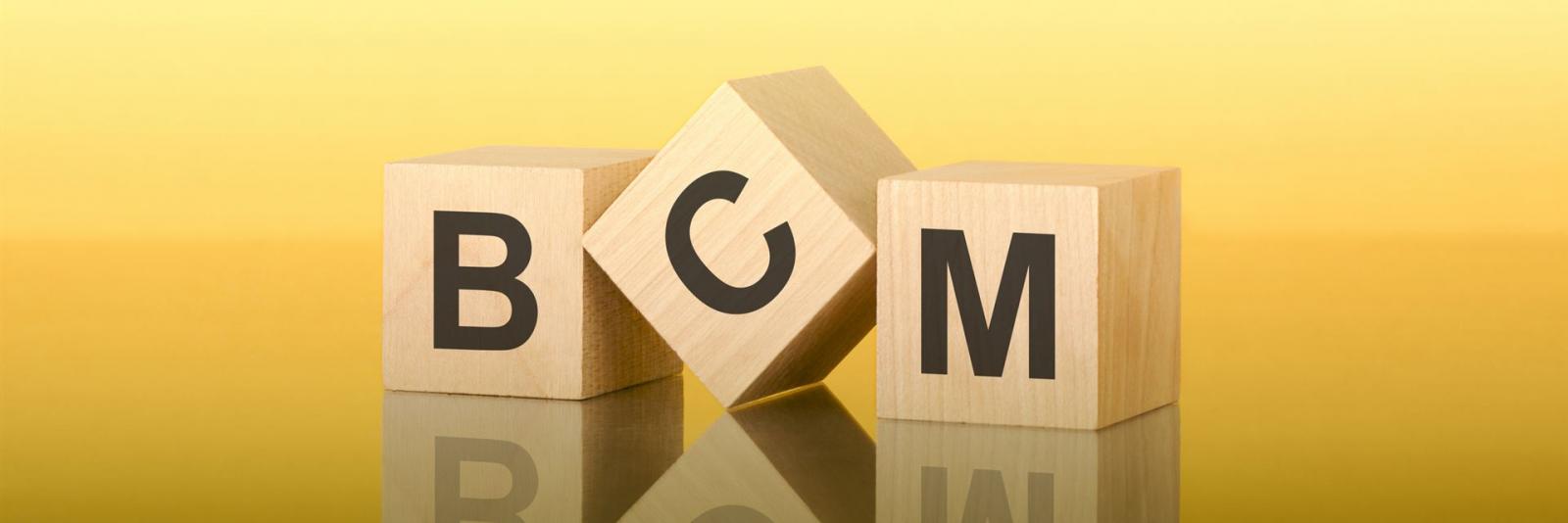 Business Continuity Management Facility Manager Business Continuity Management Facility Manager